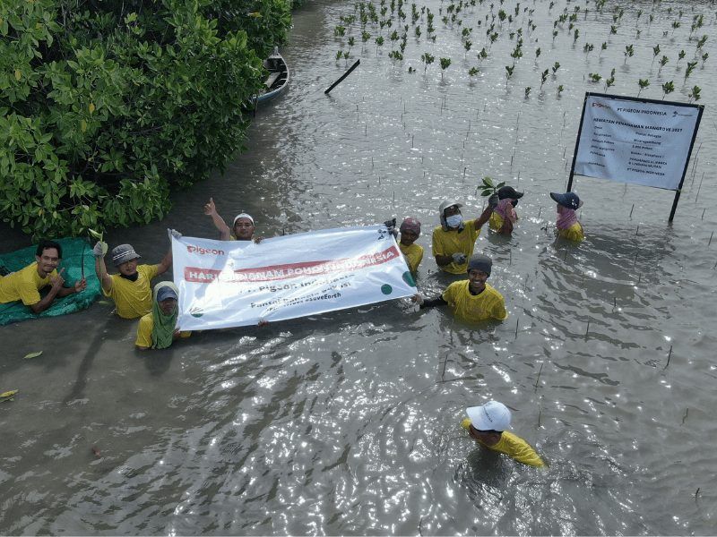 Karyawan dan perwakilan PT. Pigeon Indonesia ikut serta dalam penanaman fase 2 sebanyak 3.000 mangrove di pesisir utara kabupaten Bekasi.