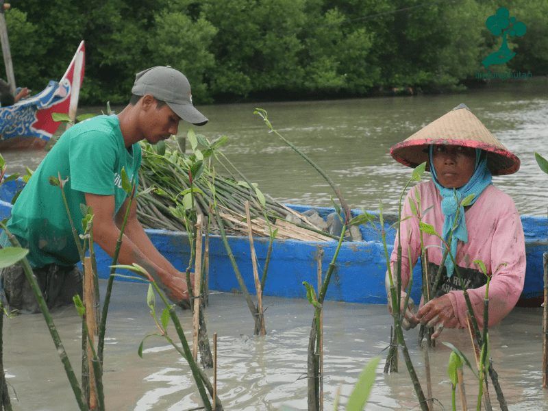 Mak Jah dan Mas Iwan, mitra petani LindungiHutan, turut hadir dalam kegiatan penghijauan hasil kerjasama dengan Kaloka Pottery.