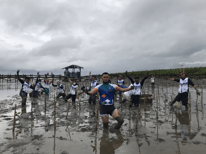 Karyawan BFI dalam acara penanaman pohon di pesisir Untia, Kota Makassar.