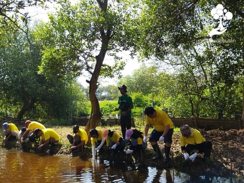 Karyawan Pigeon Indonesia menanam pohon di muara sungai Cisadane, Tangerang, Banten.