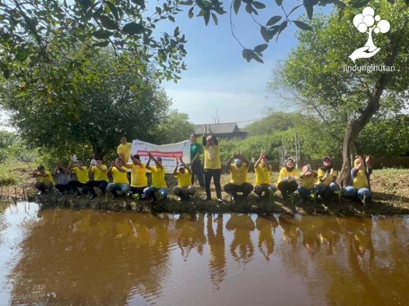 Pigeon Indonesia menanam ribuan mangrove di Tangerang.