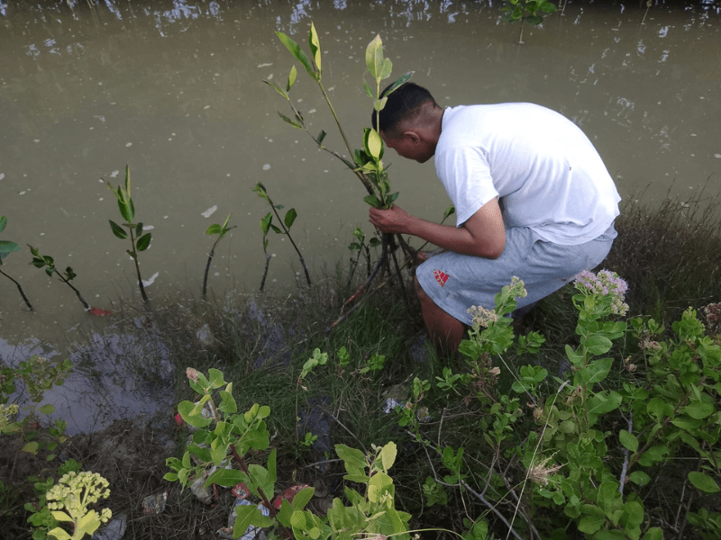 Mitra petani bibit konservasi LindungiHutan sedang menanam bibit mangrove di Cirebon, Jawa Barat hasil kolaborasi dengan Atmos Jakarta.