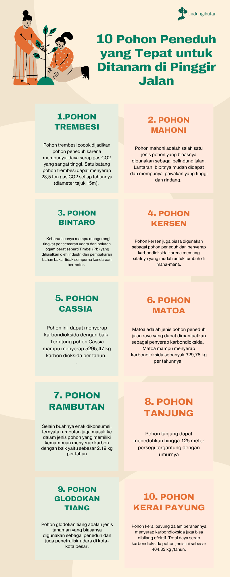 Infografis mengenai pohon peneduh jalan raya