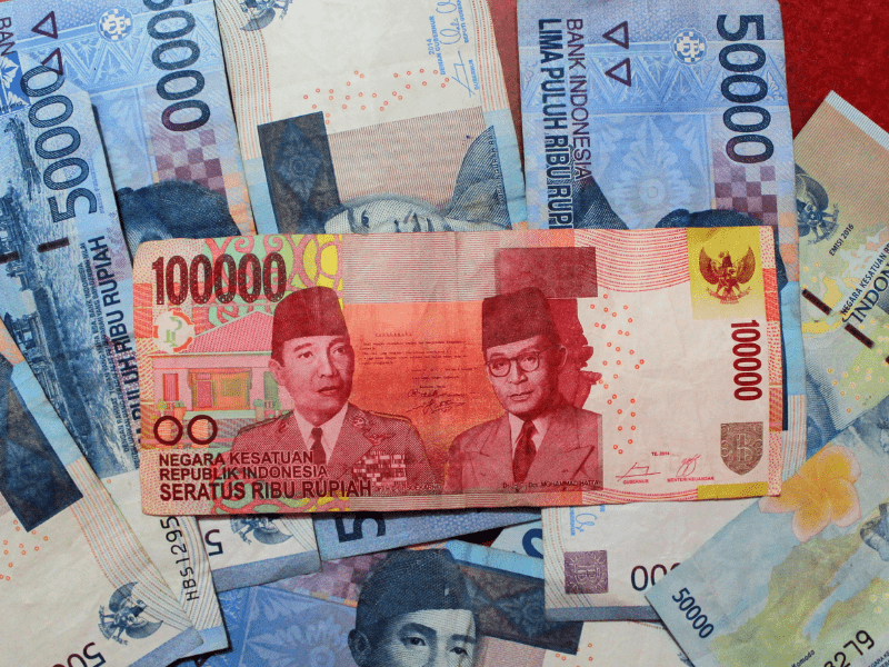 Manfaat pohon mahoni terakhir adalah kerap dijadikan tabungan oleh masyarakat.