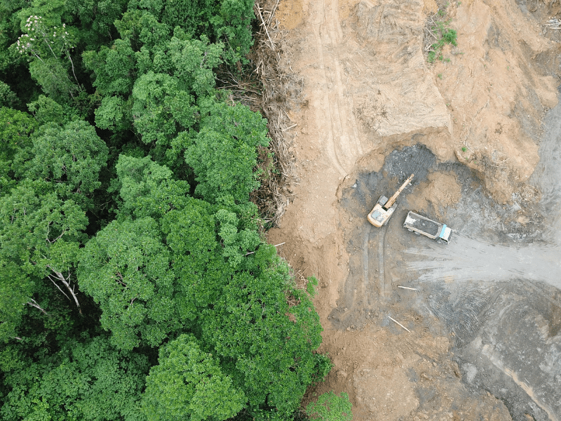 Penggundulan hutan jelas merupakan penyebab degradasi lahan.