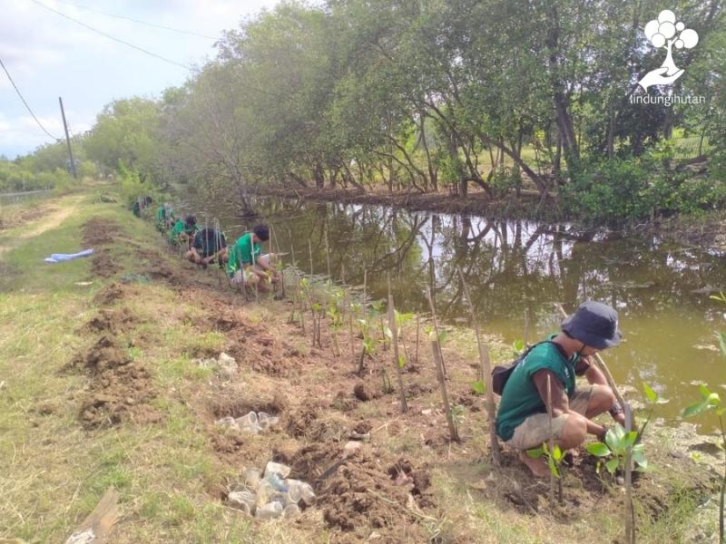 Masyarakat ikut terlibat menanam pohon mangrove di pinggiran sungai Cisadane.