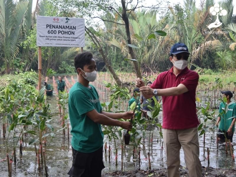 Penyerahan bibit mangrove secara simbolik dari Hino Finance kepada LindungiHutan dalam implementasi program CSR lingkungan.