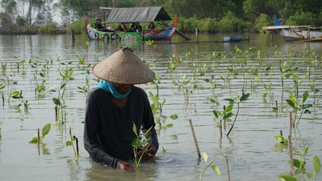 Proses penanaman dalam kampanye alam Geliga bersama Restep dan LindungiHutan