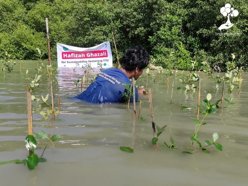 Mitra petani bibit LindungiHutan sedang menanam bibit mangrove hasil kerjasama dengan brand Hafizah Ghazali.