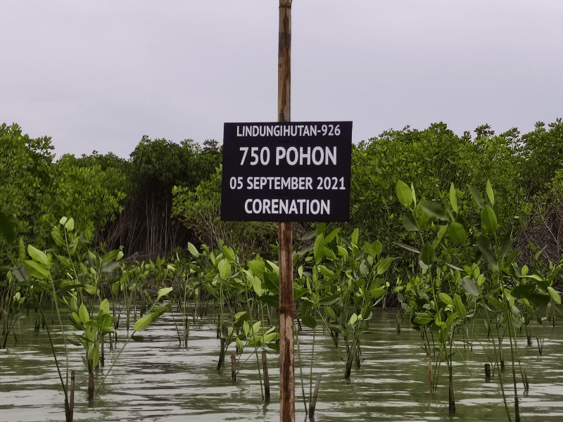 Penanda area penanaman mangrove CoreNation di pesisir Demak, Jawa Tengah.