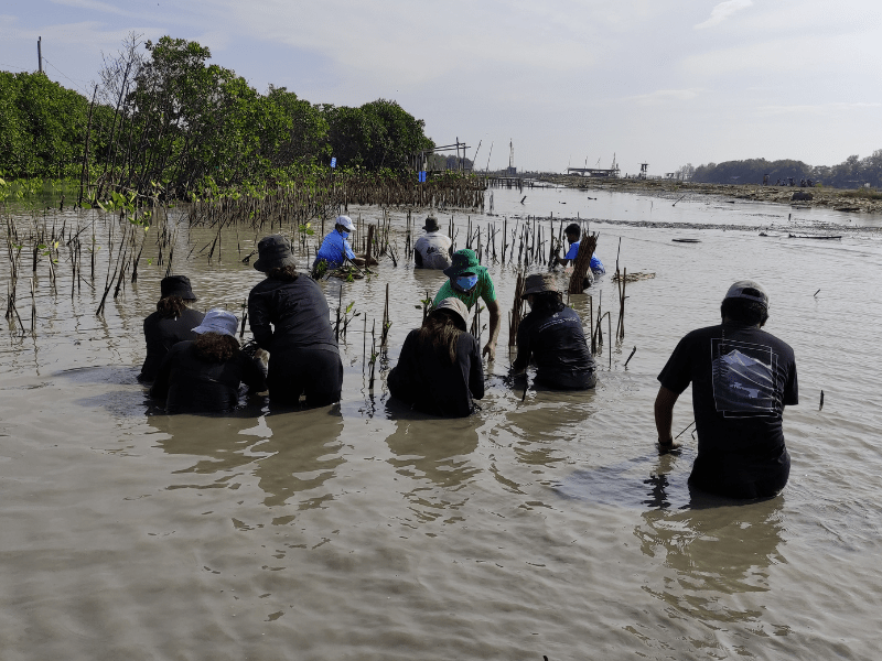 Perwakilan Dear, Klairs Indonesia ikut kegiatan penanaman pohon di pesisir utara Kota Semarang.