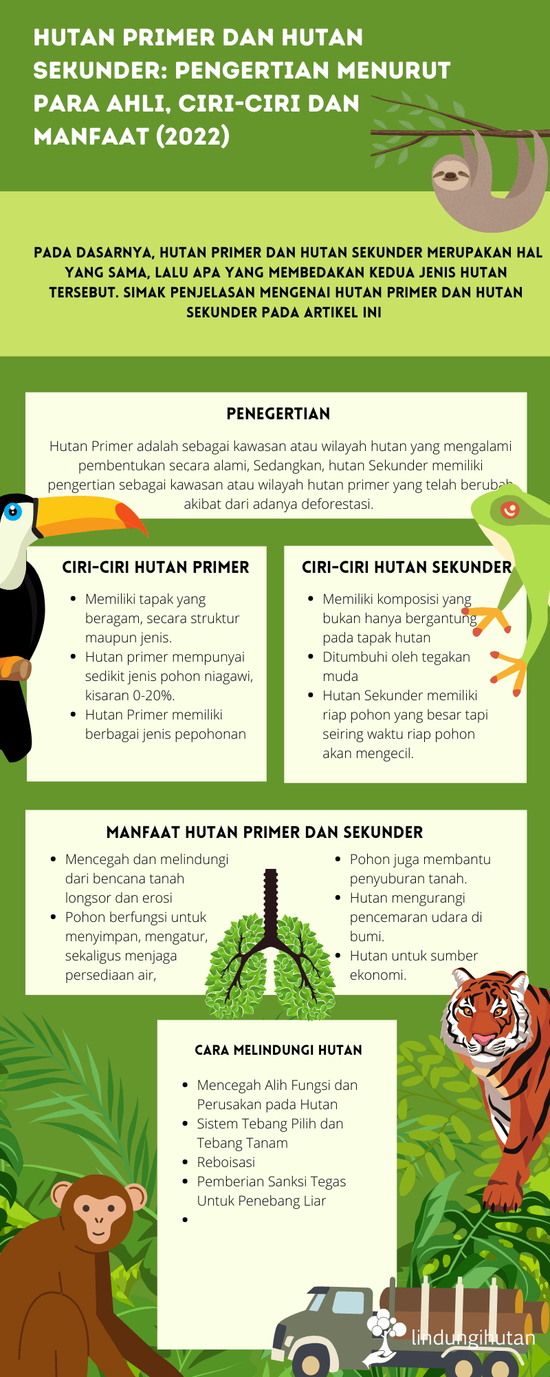 Infografis hutan primer dan sekunder.