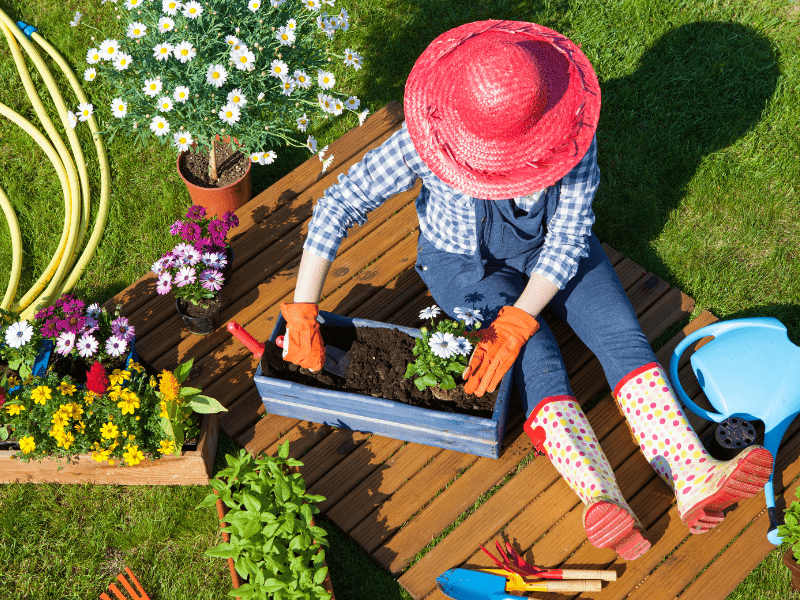 Sebelu memulai berkebun di rumah, pilih tempat yang cocok dahulu.