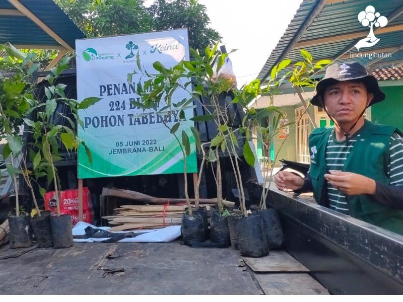 Mitra petani LindungiHutan mengangkut bibit pohon dengan mobil bak terbuka.