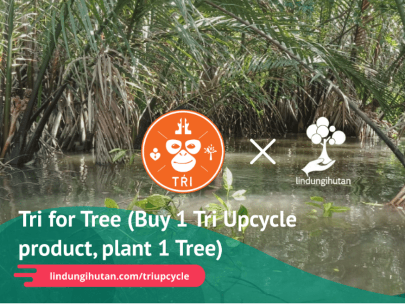 Tri Upcycle Bersama LindungiHutan Menanam 153 Pohon Trembesi di Bukit Puntong Sumiak.