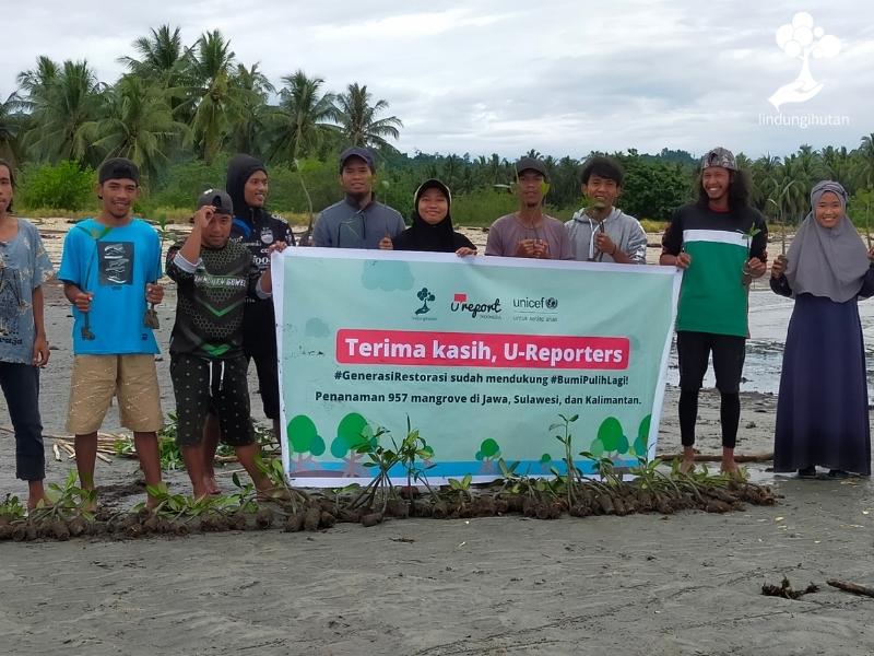 Penanaman mangrove di ToliToli.