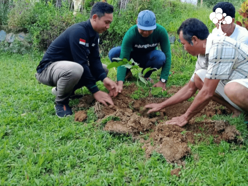 Josvli Hijaukan Bukit Puntong Sumiak, Kalimantan Barat.