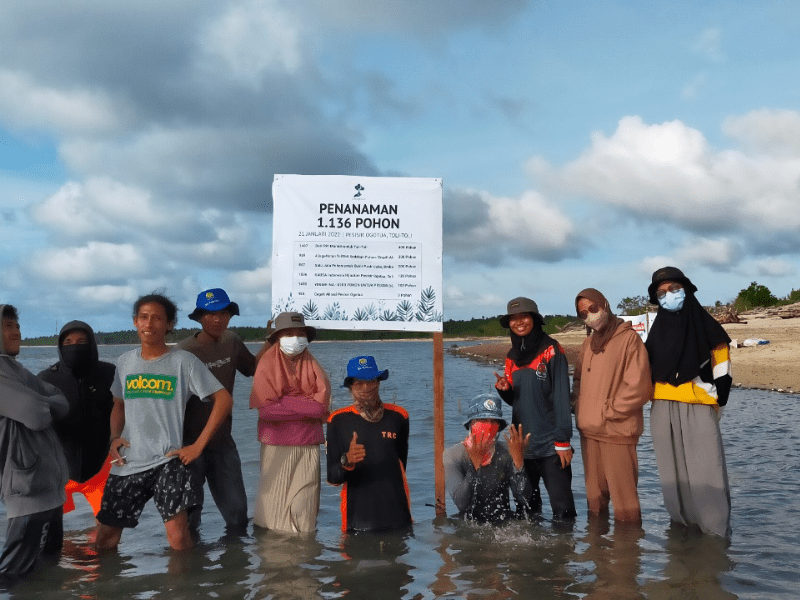 Proses penanaman pohon mangrove rhizophora oleh Kasua bersama LindungiHutan di Pesisir Ogotua.