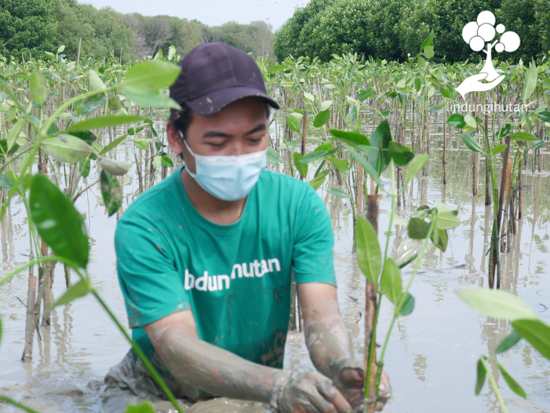 Perwakilan Bizlab ikut hadir dalam kegiatan penghijauan.