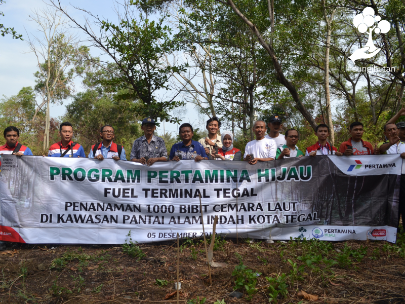 Bersama-sama melakukan penanaman pohon di Pantai Alam Indah Kota Tegal.