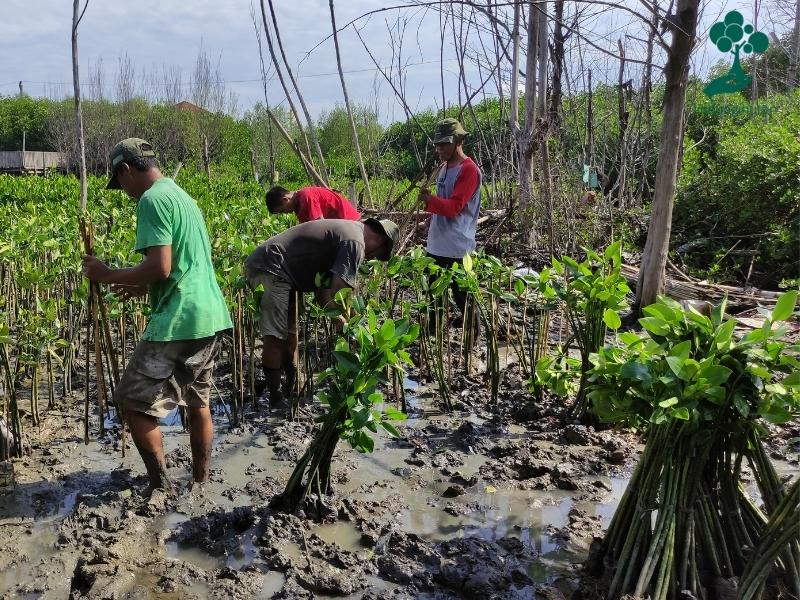 Kelompok CAMAR sedang menanam pohon hasil kerjasama LindungiHutan dan PT Santos Jaya Abadi (Kapal Api Group).