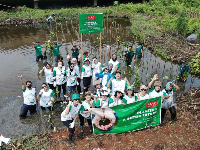 Karyawan MAPA ikut hadir dalam pelaksanaan program CSR penghijauan di ekowisata hutan mangrove PIK, Jakarta Utara.