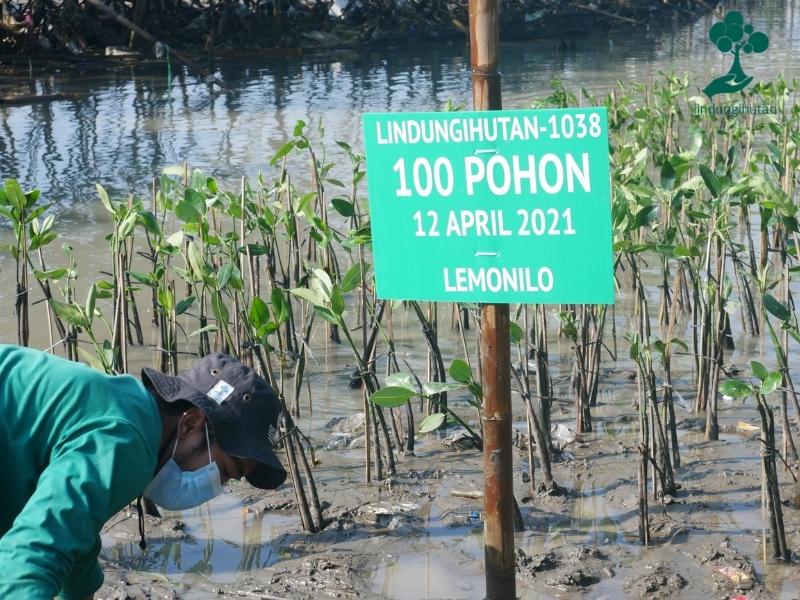 Perwakilan LindungiHutan hadir dalam acara penanaman oleh Lemonilo.