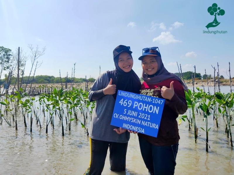 Plang penanaman mangrove OHMYSKIN! di pesisir Tambakrejo, Kota Semarang.