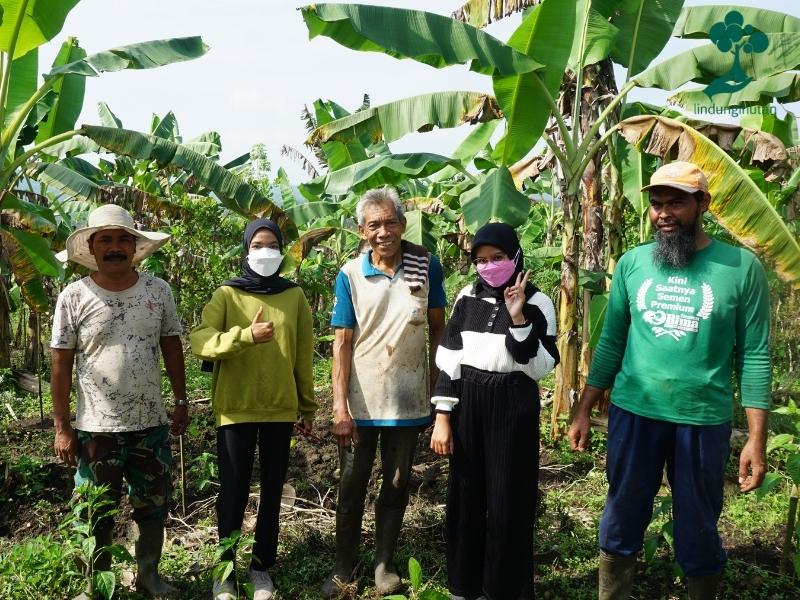 Lokasi penanaman pohon buah di Jabungan, Banyumanik, Kota Semarang.