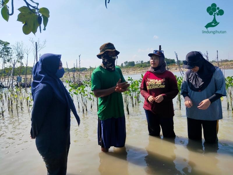 Peserta mendengarkan penjelasan pak Yazid tentang mangrove.