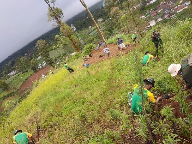 Desa Bojong, Kabupaten Garut : Sungai Cimanuk yang Harus Dilindungi dengan Pohon 82 Penanaman pohon alpukat di Desa Bojong, Kabupaten Garut.