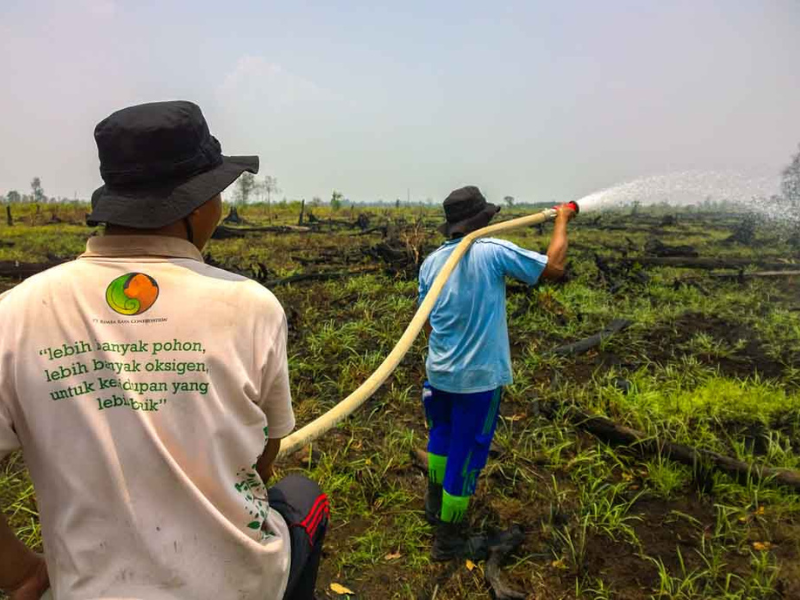 Salah satu inisiasi program Rimba Raya Conservation adalah pemadaman kebakaran hutan.