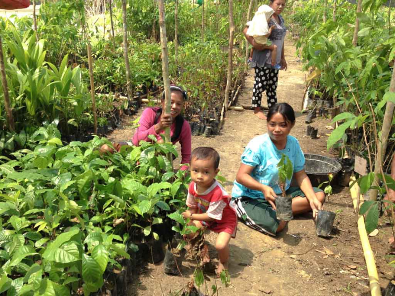 Program pemberdayaan masyarakat beurpa sekolah lapang budidaya sayur.