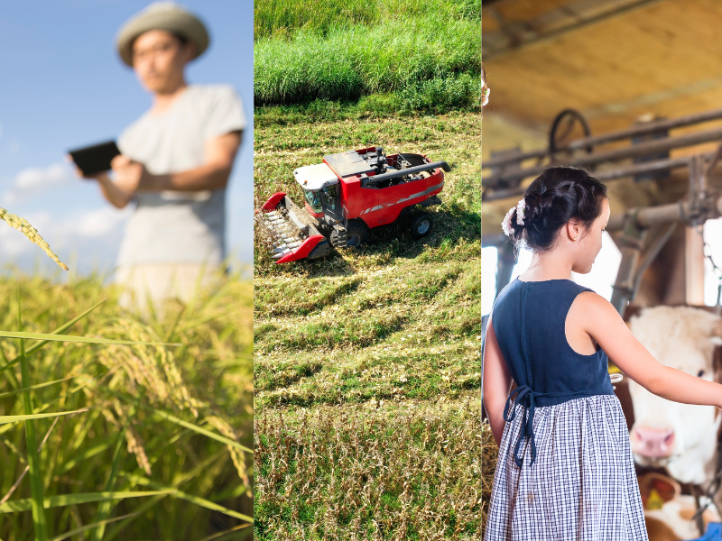 Mengenal sistem dalam agropolitan.