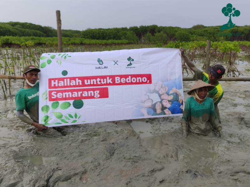 Banner kegiatan penanaman Hallah Activewear di Demak, Jawa Tengah.