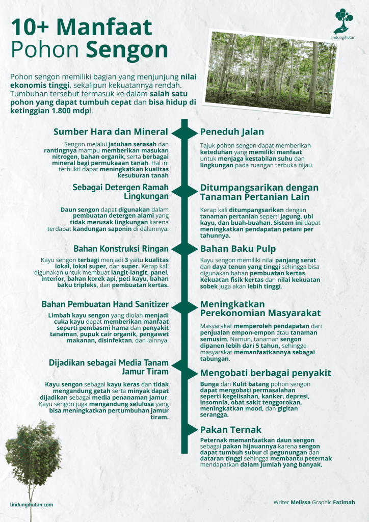 Manfaat pohon sengon.