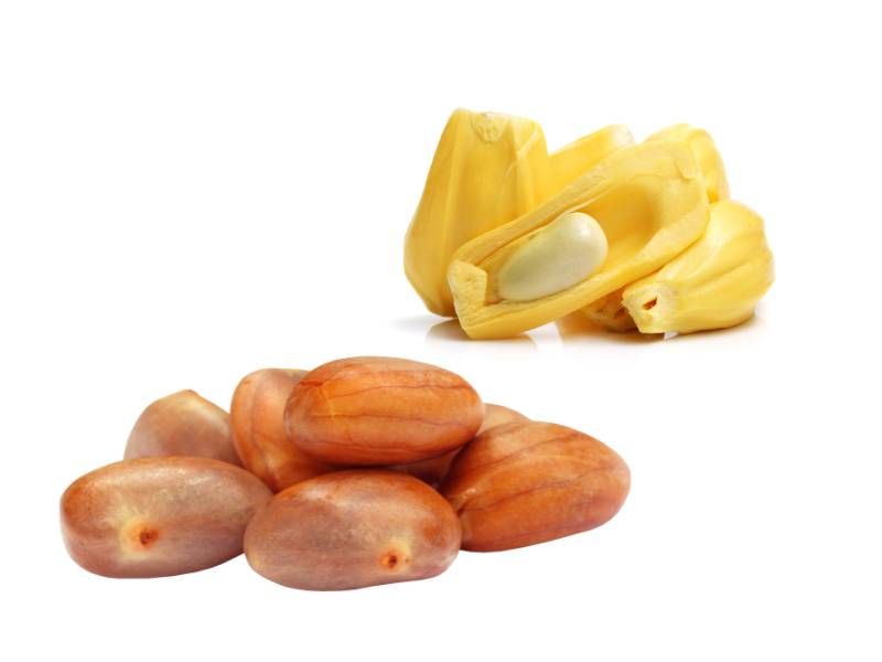 Tutorial menanam pohon nangka.