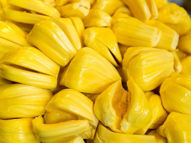 Gambar buah nangka.