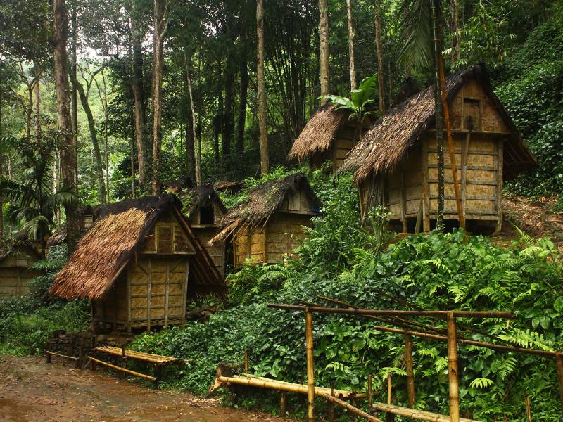 Hutan Adat: Pengertian, Undang-Undang Terkait, hingga Contoh-contohnya! (2022) 83 Pengelolaan hutan adat dilakukan oleh masyarakat hutan adat.