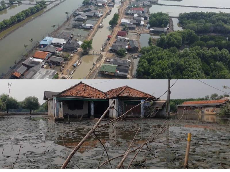 Gambar daerah muaragembong bekasi.