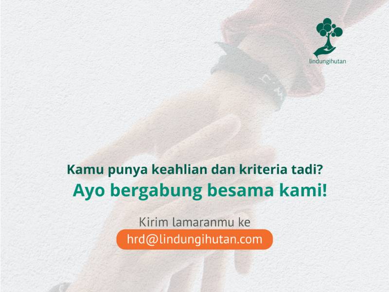 Daftar lowongan kerja LindungiHutan.