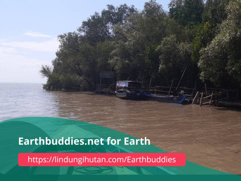 Earthbuddies.net for Earth (140 pohon).