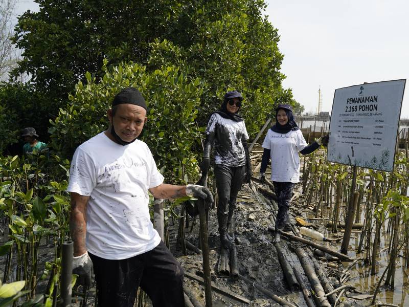 Mitra petani LindungiHutan.