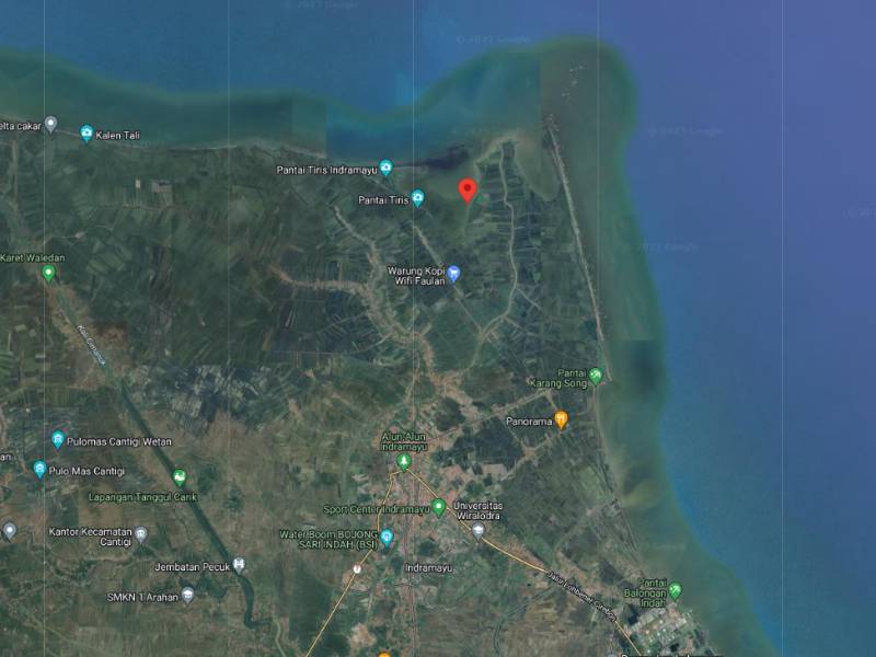 Lokasi penanaman LindungiHutan di Pabean Ilir Indramayu.