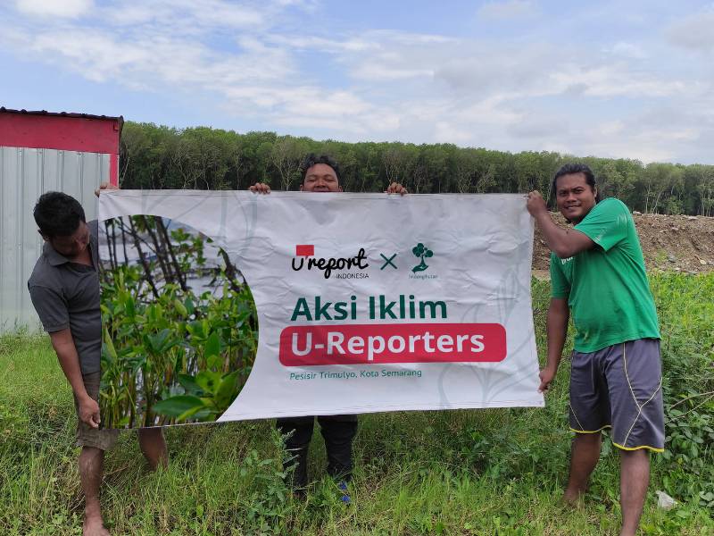 u-Report Indonesia tanam 454 mangrove