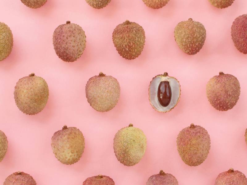 Biji buah leci.
