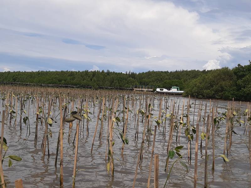 Pesisir Untia Makassar.