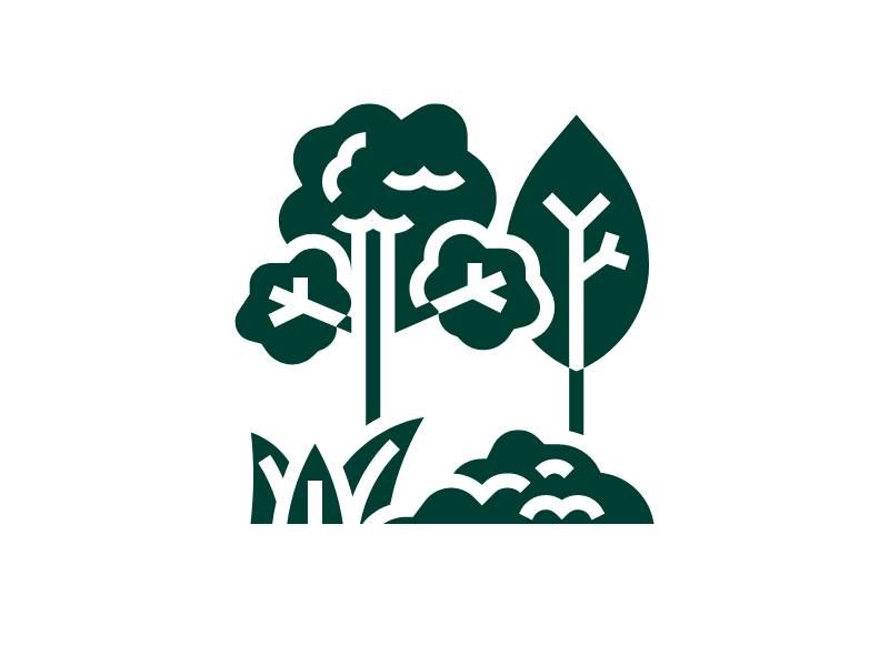 Program baru LindungiHutan Moretree.