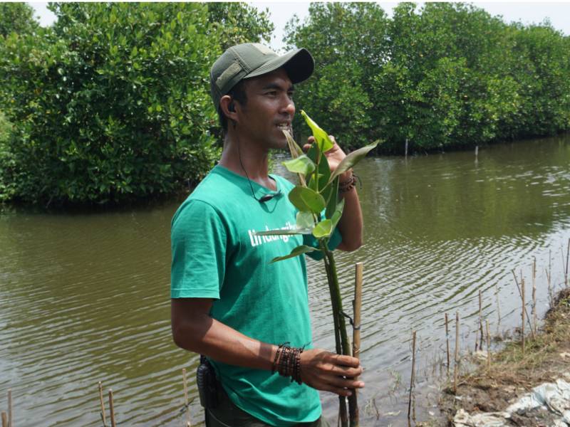 penanaman dibantu mitra petani