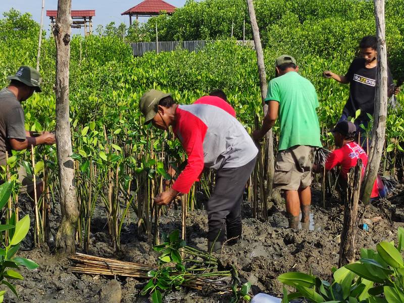 penanaman perdana lindungihutan